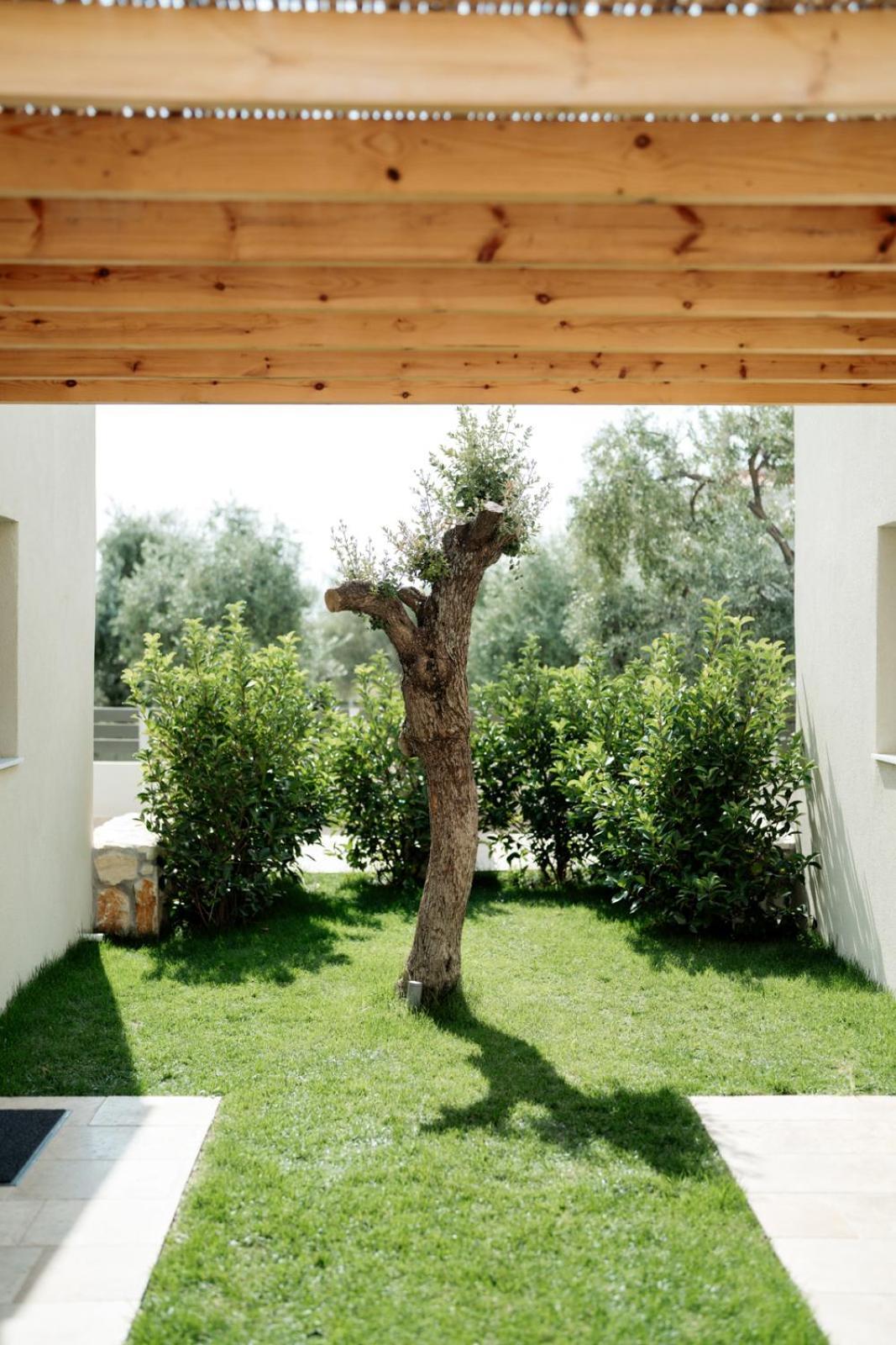Magnolia Villas Potos Thassos Exterior foto